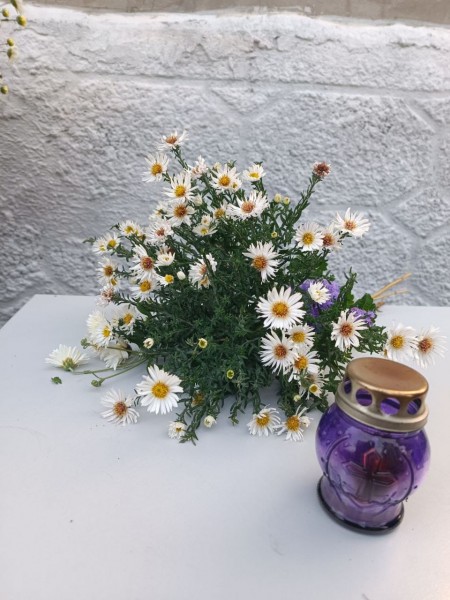 Вшанування (6)