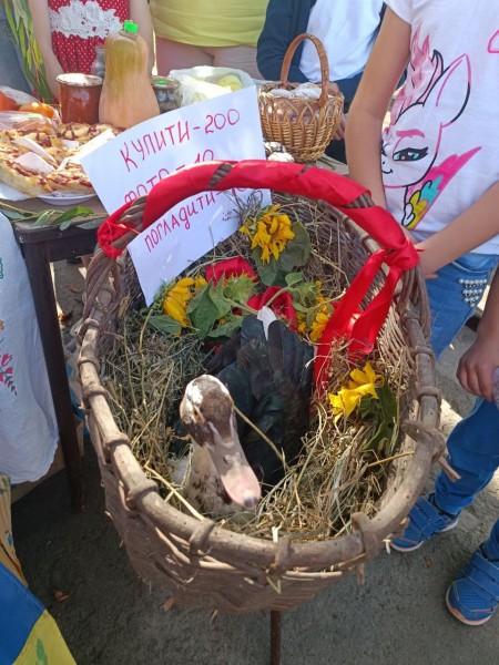 Ярмарок- (2)