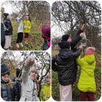 Міжнародний день доброти