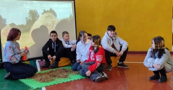 зображення_viber_2026-03-17_11-39-32-533